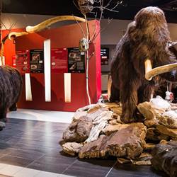 230164377_4184896881577590_8841886109253896169_n-photo-around