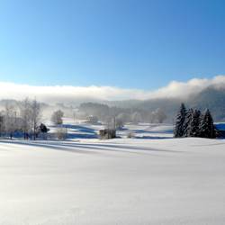 133600197-photo-around