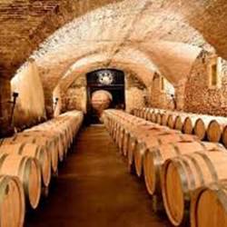 Une des nombreuses caves du vignoble-photo-news