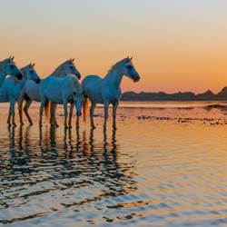 image-photo-news