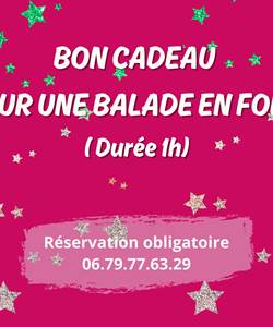 BON CADEAU POUR UNE BALADE EN FOLIE ( Durée 1h) (1).jpg