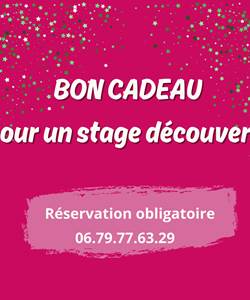 BON CADEAU POUR UNE BALADE EN FOLIE ( Durée 1h) (2).jpg