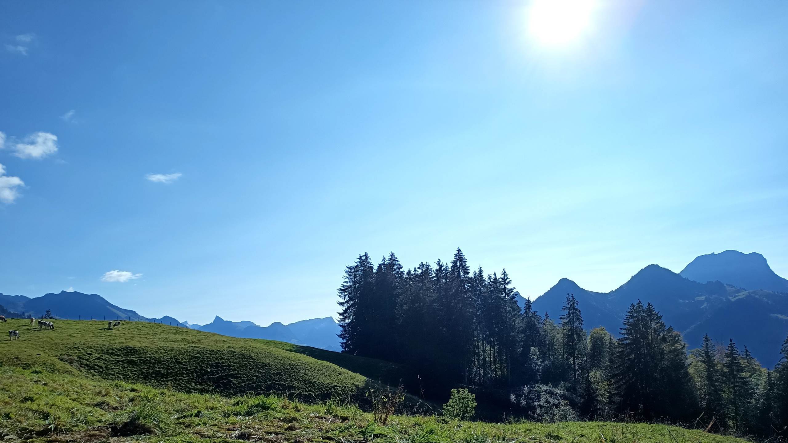 Randonnée au dessus du studio, vue sur le Moléson