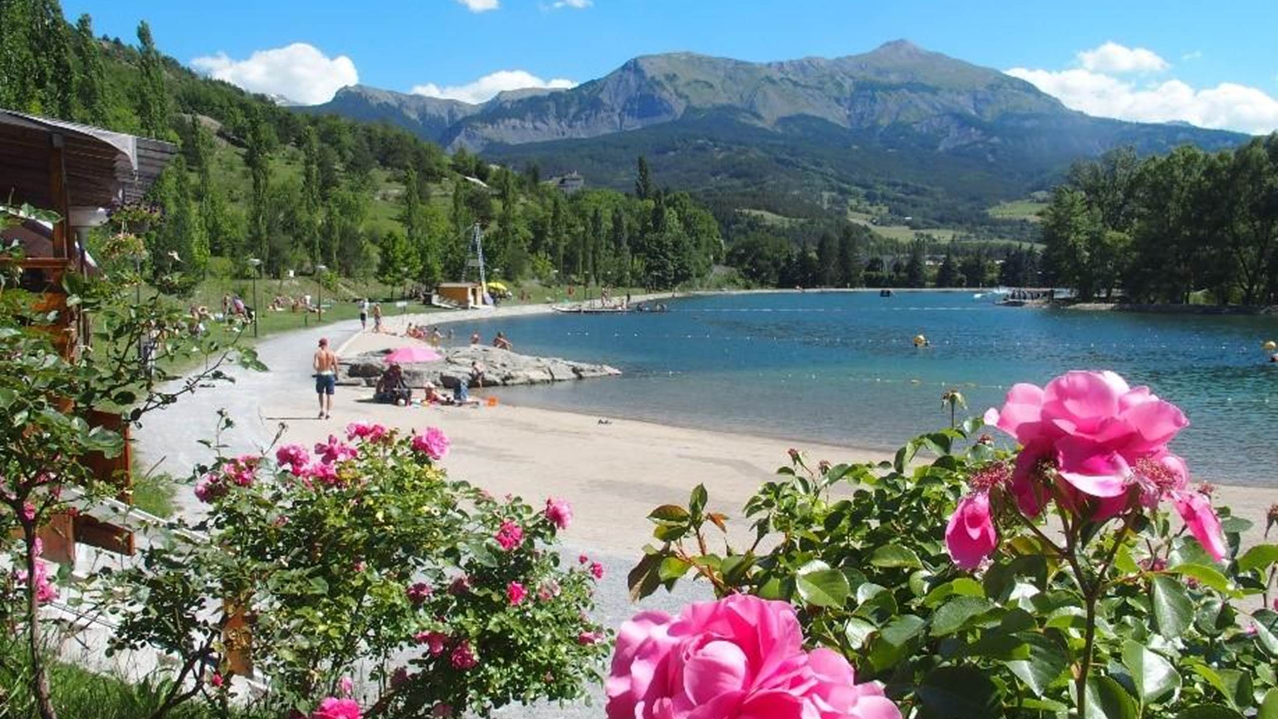 plan-eau-roses__