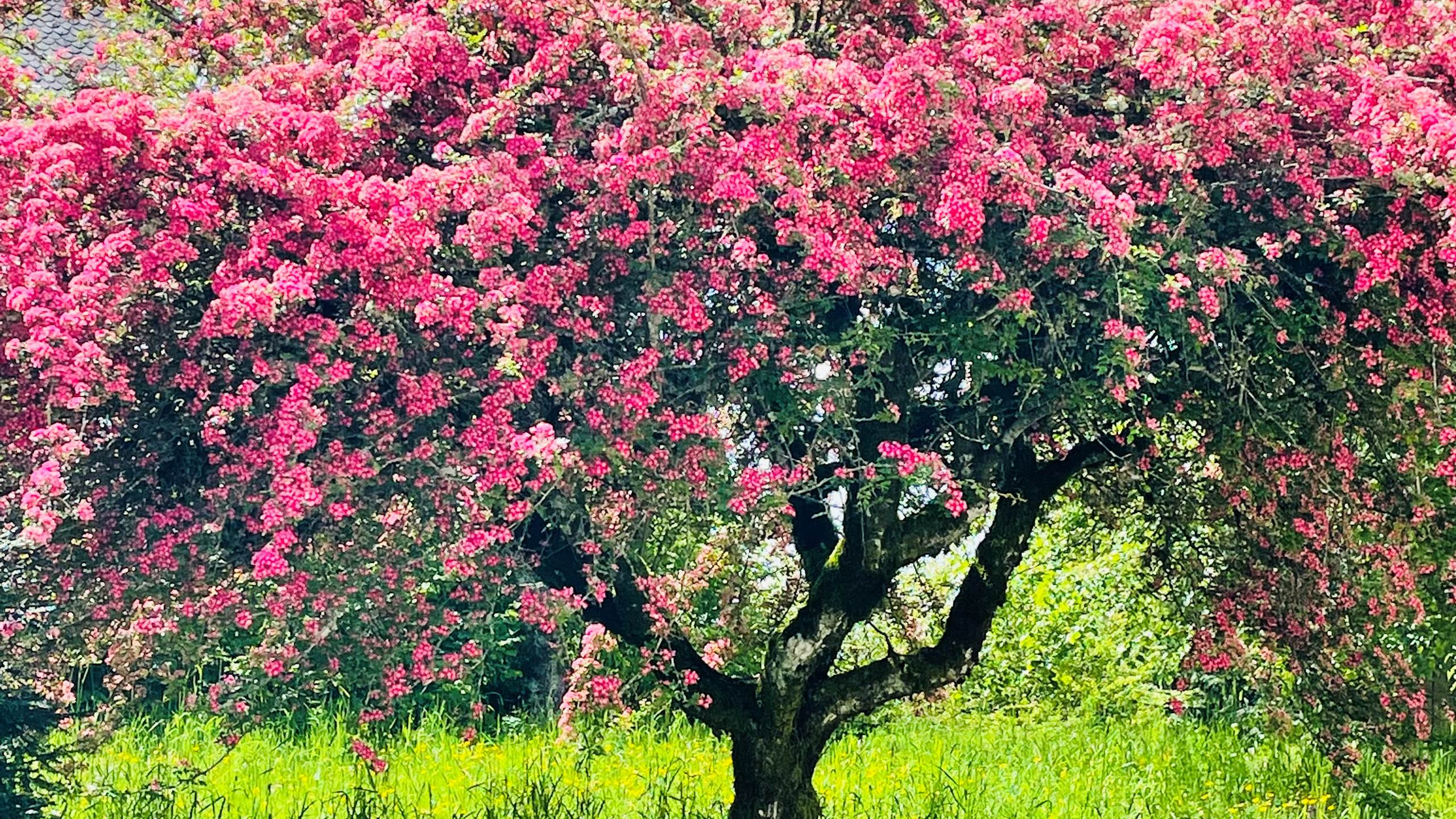 gite_correze_pierres_confort-nature