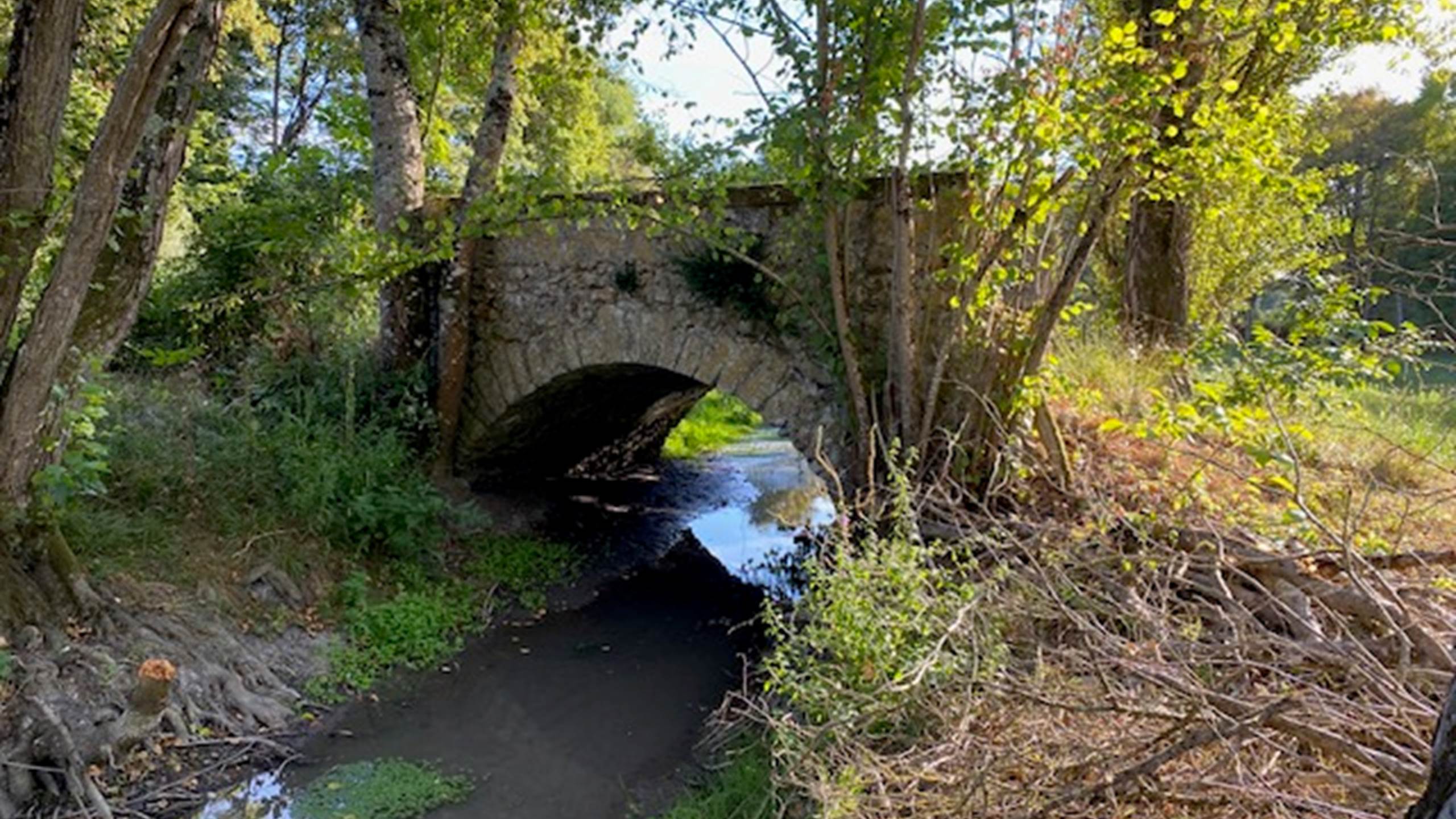 Pont de la Gatinie`re