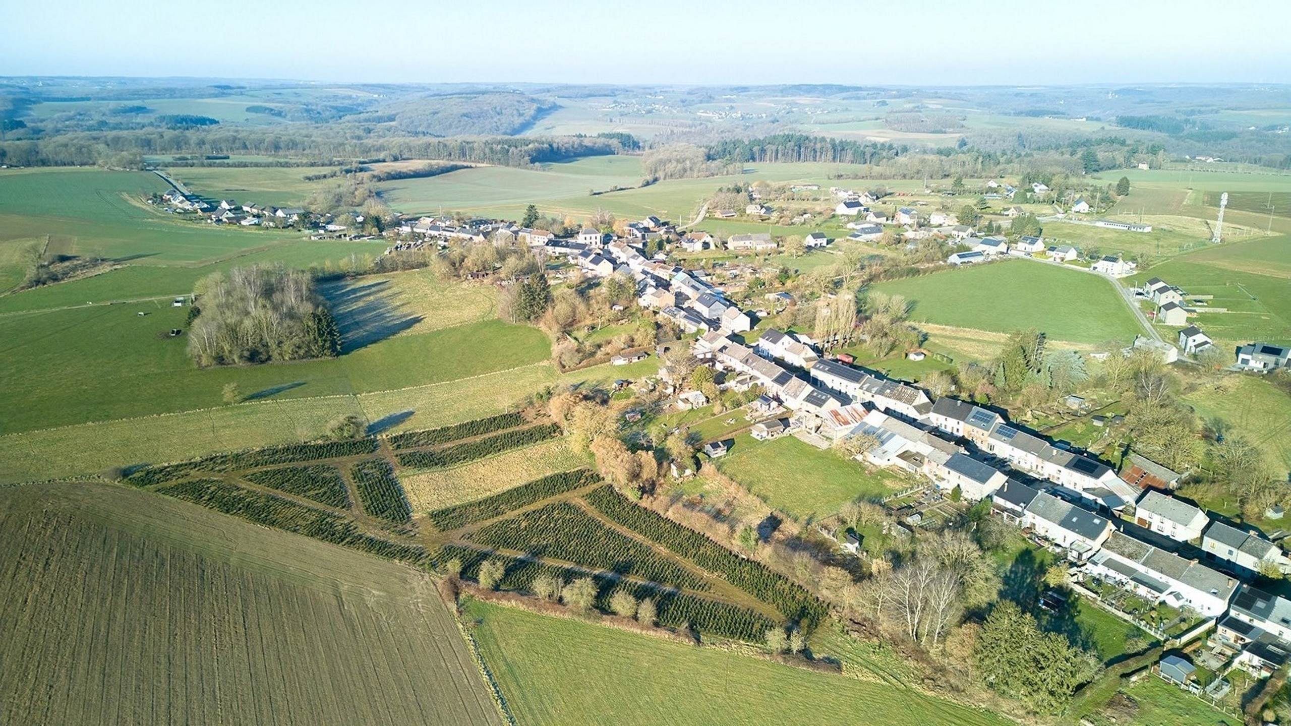 DJI_20250305090516_0059_Dbd