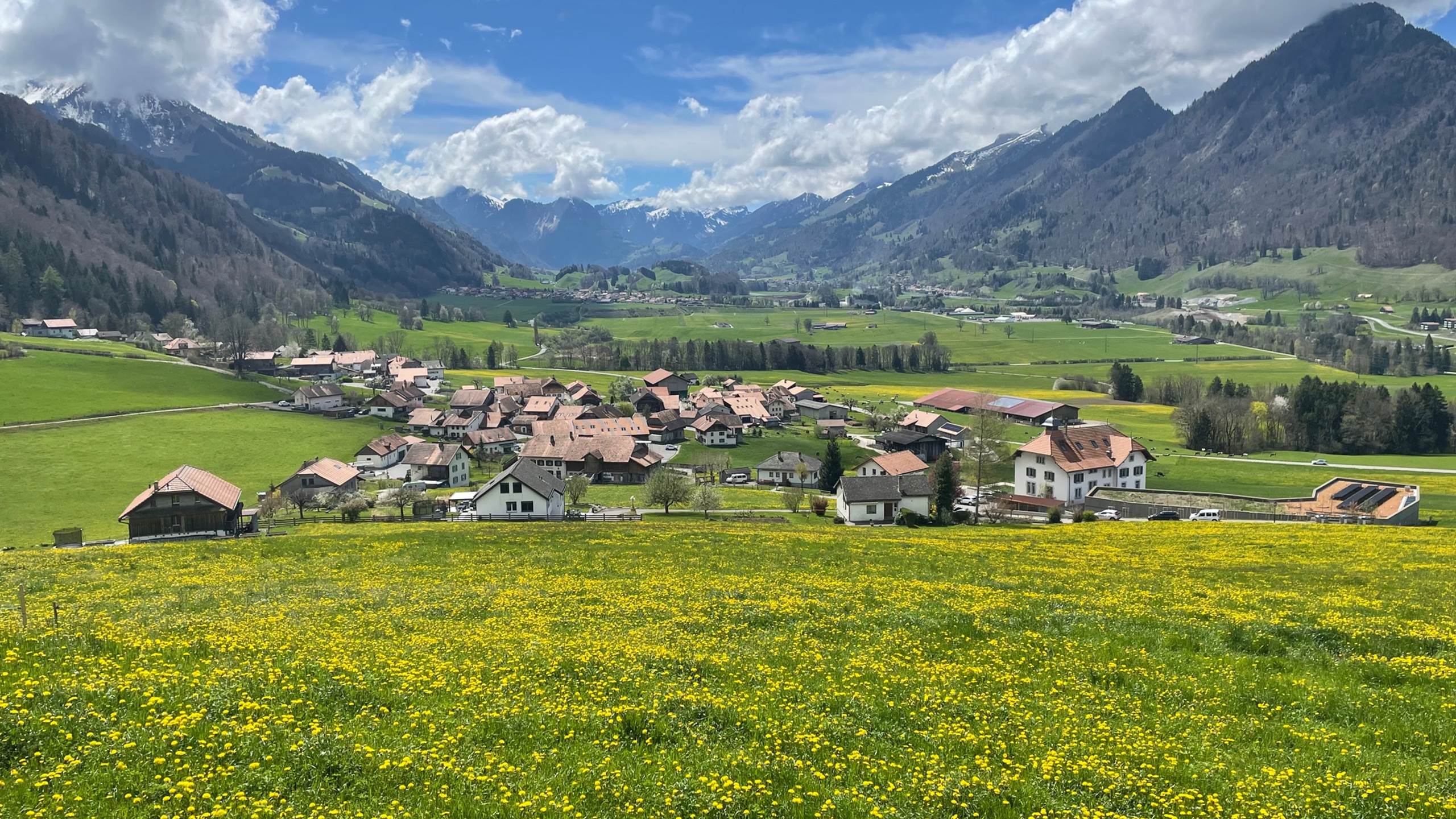 Le village au printemps