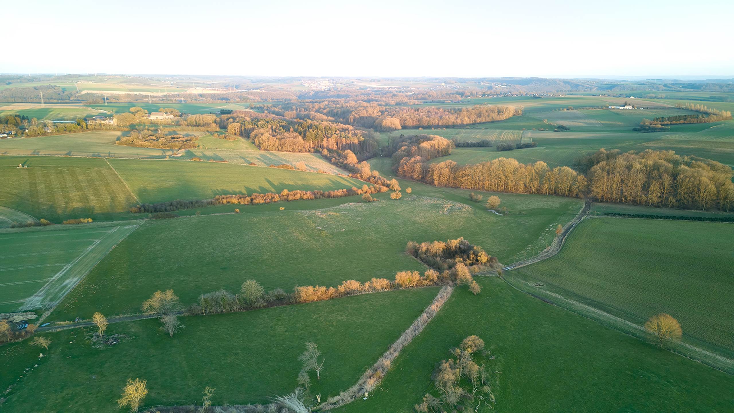 DJI_20250305181533_0018_Dbd