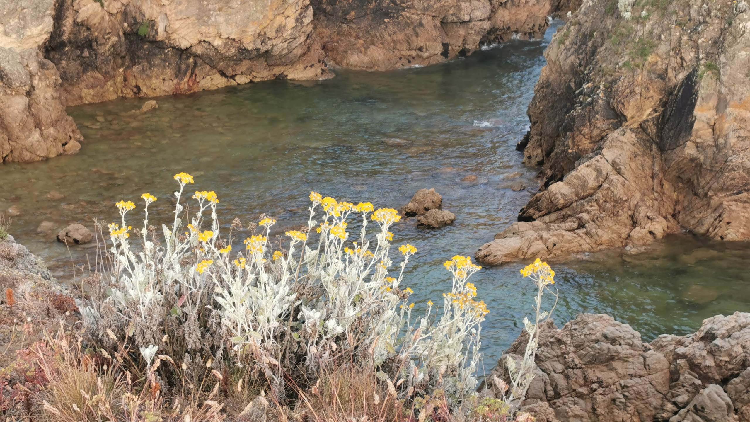 La côte sauvage du Pouliguen (photo Isabelle)