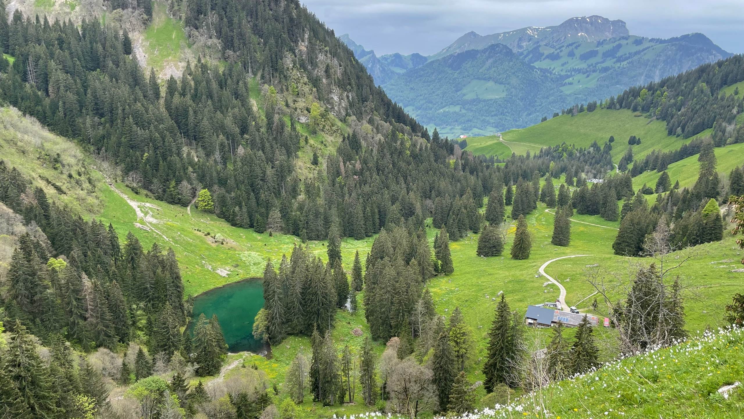 Randonnée proche du studio - lac de montagne et Moléson au loin