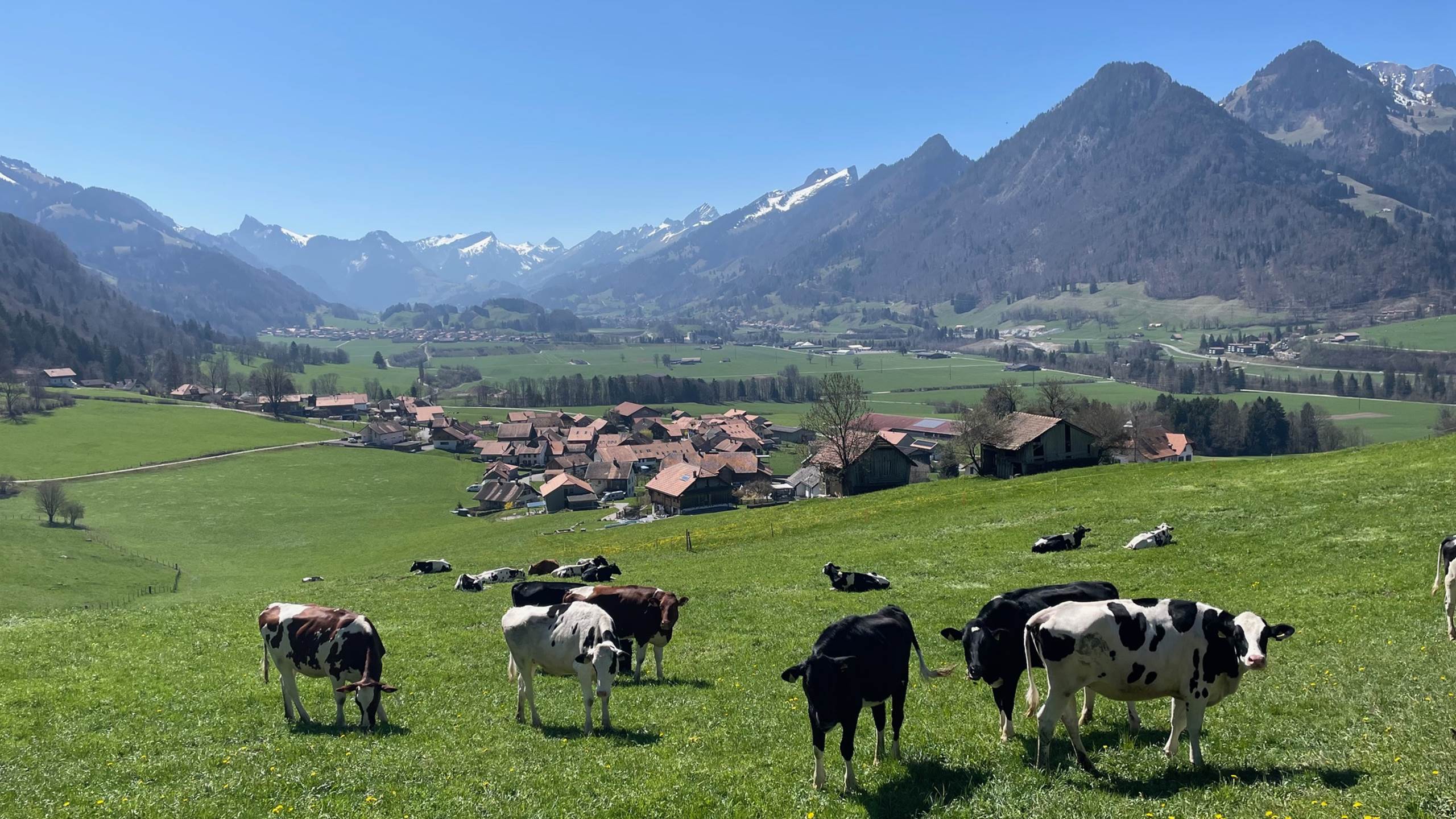 Vue au-dessus de la maison
