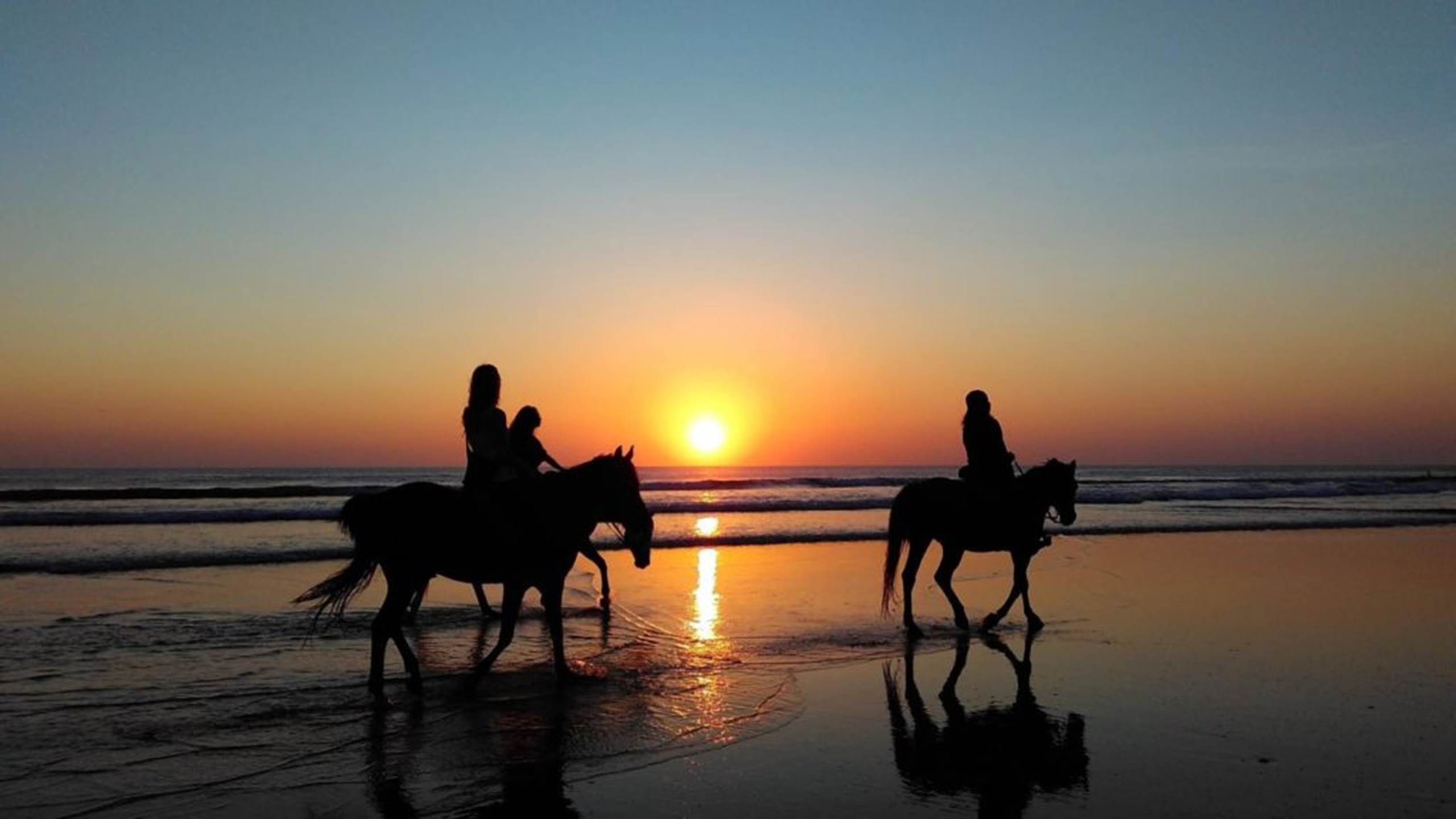 Plusieurs clubs équestres à moins de 5 kms pour faire du cheval sur la plage