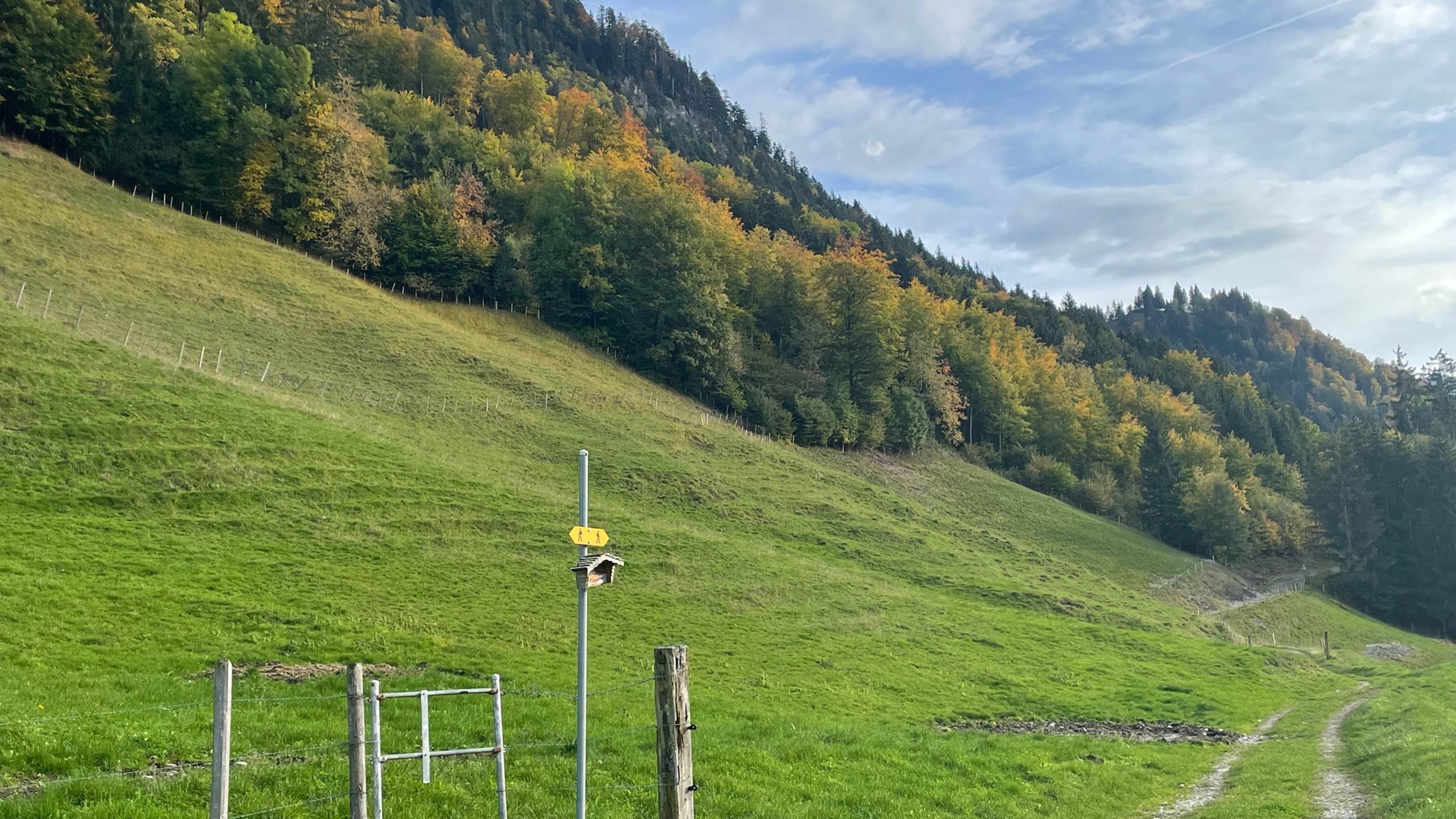 Octobre 2024 couleurs d'automne et sentier au dessus du village