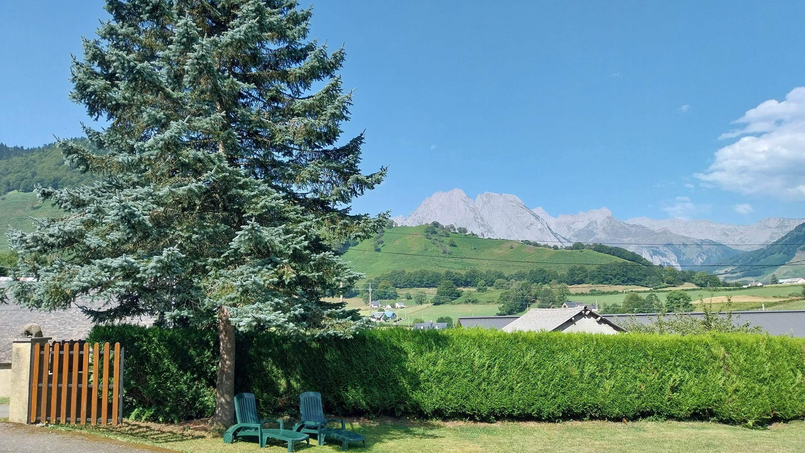 Une sieste à l'ombre du sapin