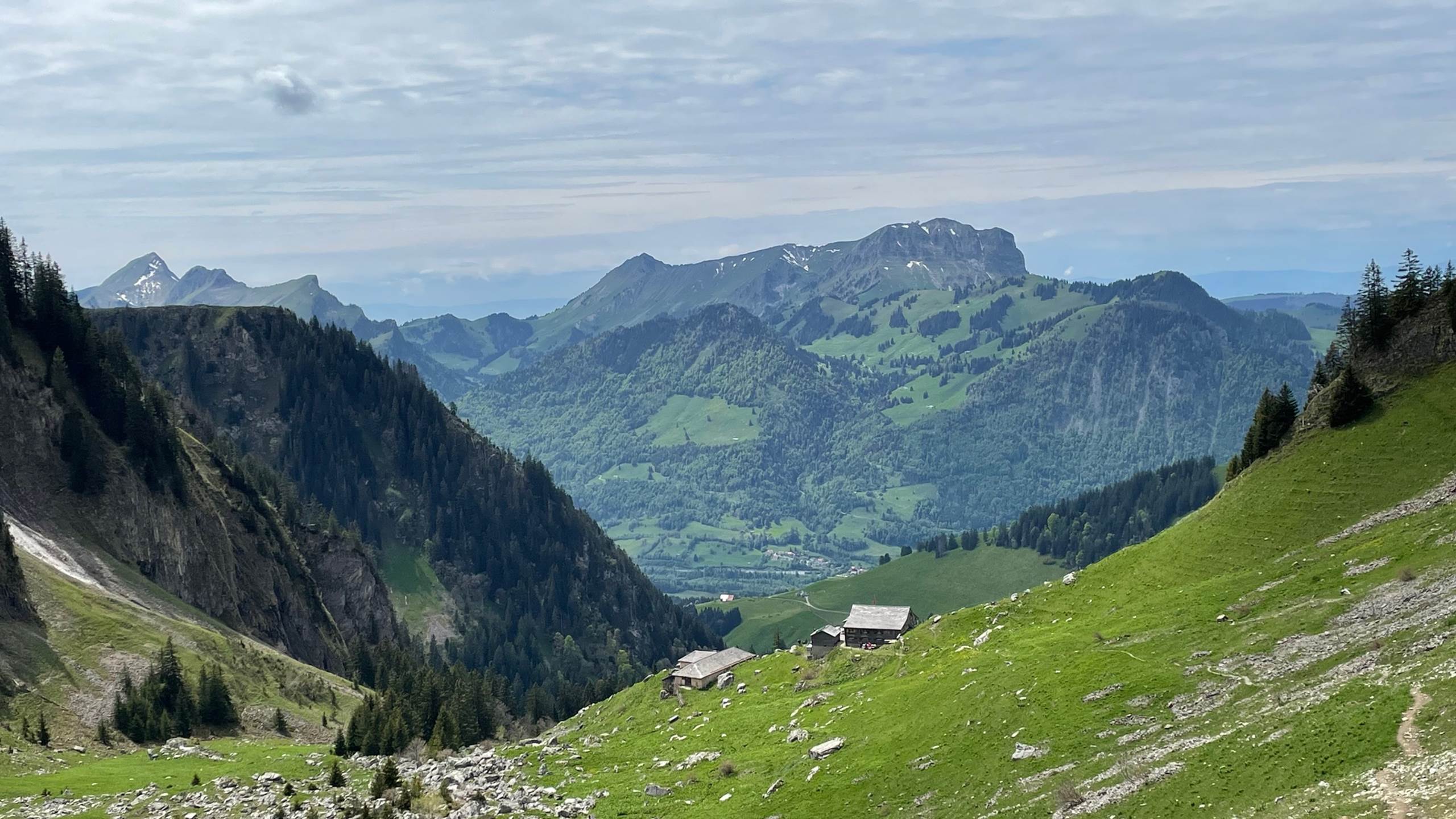 Randonnée proche du studio - vue sur le Moléson depuis Bounavaux