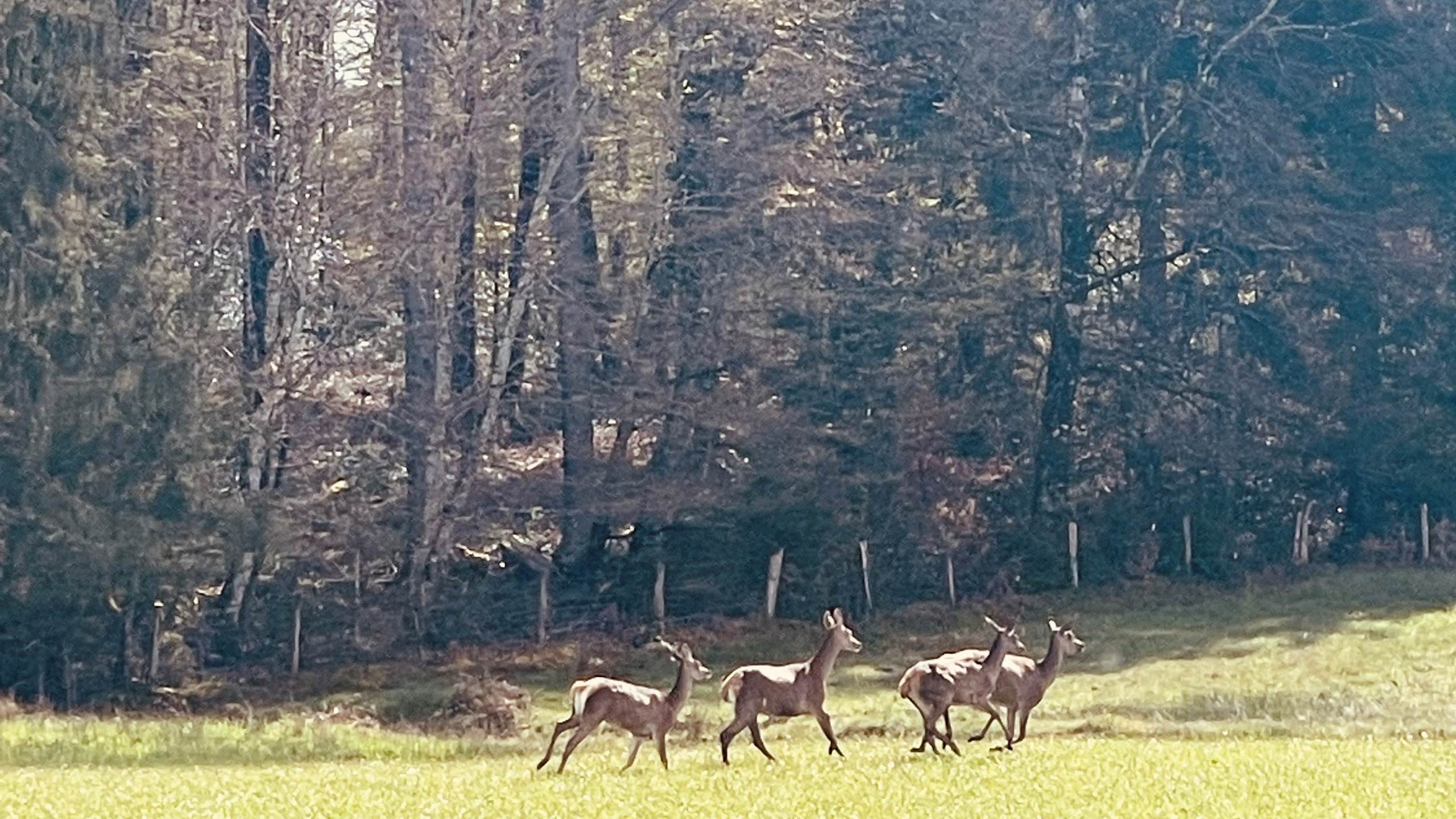 gite_correze_pierres_confort-nature