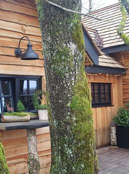 La Cab'âne de Bon Papa