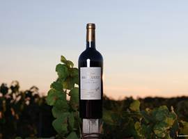 EOSR1894---jeannoelmartin.com-Tel-06-20-42-52-11