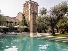 Grande piscine extérieure dans une cour fermée bordée d’oliviers centenaires