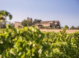 Anciennes dépendances rénovées en loft de charme de 110 m² dans l’Hérault