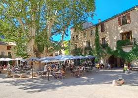 Place de la Liberté à Saint-Guilhem-le-Désert, avec son platane centenaire, ses terrasses de restaurants et ses maisons médiévales.