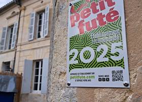Sans titre