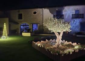 Extérieur des Gîtes de Monte Blanco décoré pour Noël avec olivier illuminé.
