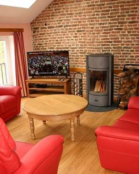 Salon avec TV et feu ouvert