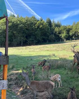 visite-guidee-parc-animalier-animaux-aveyron-occitanie-gages
