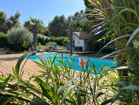 Piscine / Solarium