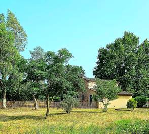 VIGNOBLE LE PLATANE