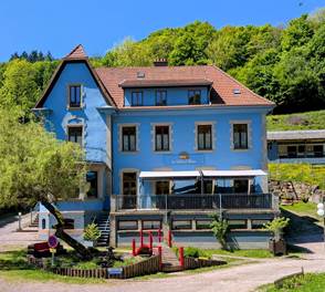 Gite-de-groupe-alsace-vosges-chalet-facade-tilleul-bleu