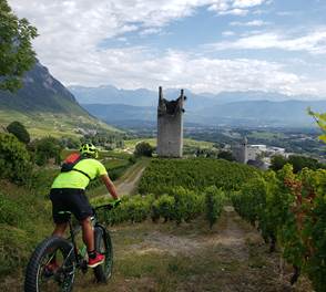 randonnée à vtt électrique dans les vignes