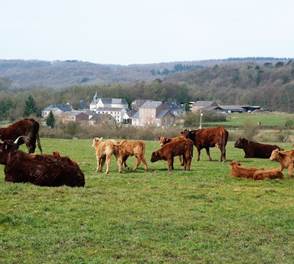 Le hameau tranquille de Xhignesse de +/- 40 habitants
