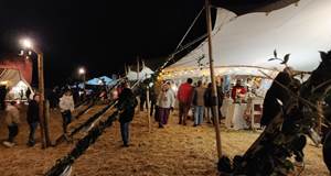 Marché de Noël Maillezais