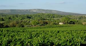 Collines de la Moure et Eoliennes