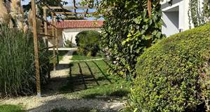 Pergola kiwis