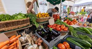 MARCHE DE TONNEINS