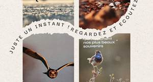 Sorite du guide touristique Vendée du Sud 2025