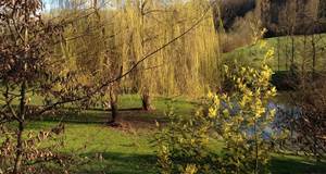 Spring