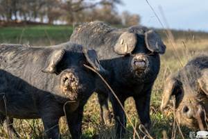 6808b5255039b089777082