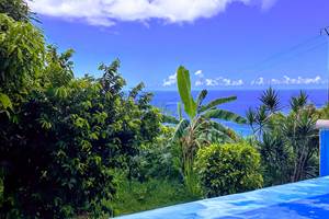 Le paradis vert et bleu