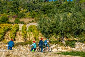 Sortie entre les vignes