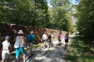 IMG_20190916_145623-presta