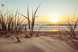 plage du Lazaret à 300 mètres - plage à pied