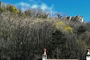 Premières feuilles sur les coteaux