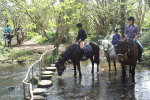 Promenade equestre  rivière  3h
