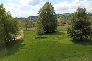 Jardin arrière, vue sur le jardin