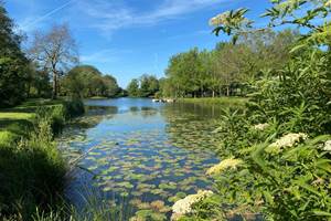 Vue de l'étang - sud
